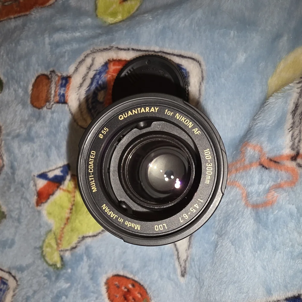 Nikon d70 bold